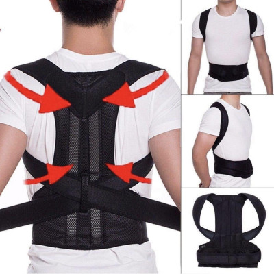 New Royal Posture Back Support Belt