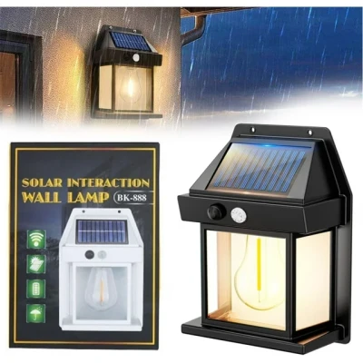 Solar Light- 1 পিস